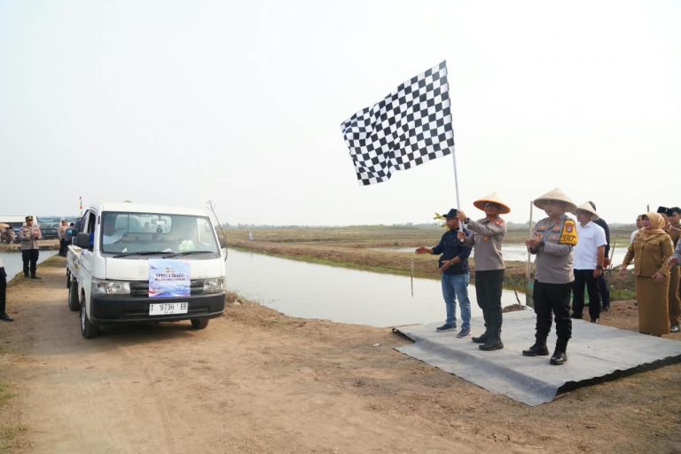 IMG-20260928-WA0029
